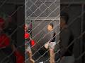 Sparing Vs Bg Kaisar Kumis