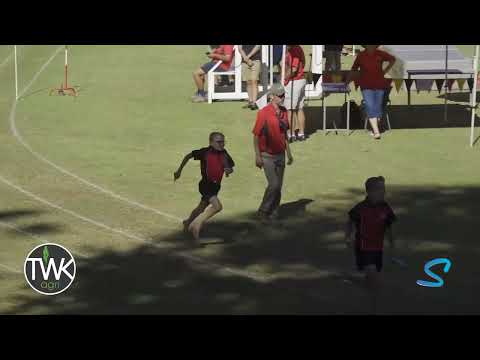 Wittenberg Schule Inter-House Athletics '23 - Champions relay boys