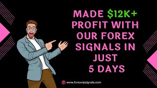 May 2024 Forex Signals Week 5 Report