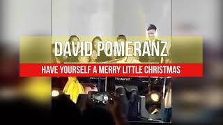 David Pomeranz Have Yourself A Merry Little Christmas