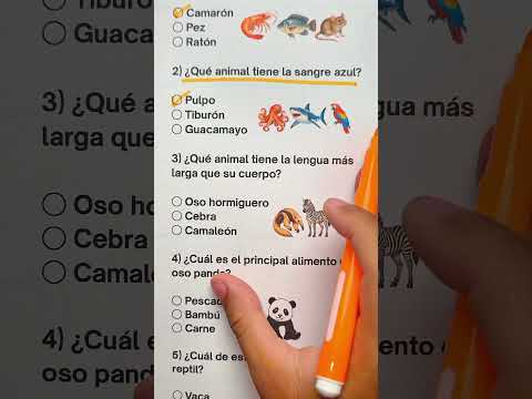 Animal quiz #quiz #animals #animal #preguntas #trivia