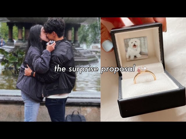 İngilizce'de engaged Video Telaffuz