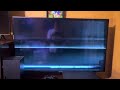 Closing To The Destroyers 1994 Vhs Severely Damaged Tape