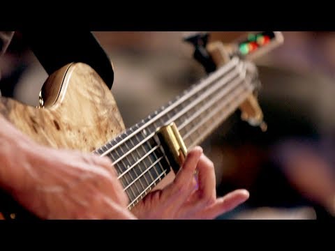 Stray Voltage - Bob Reynolds (Quartet 6 of 8)