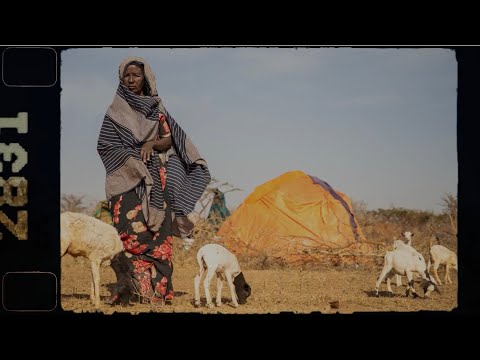 联合国粮农组织应急和抵御力工作视频解说