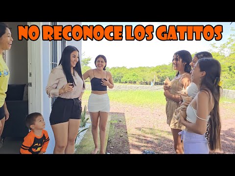 We took the cats to Joselin and she doesn't recognize them😔