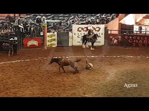 Golpazo en el Jineteo de Yegua de David Vasquez por Rancho Las Cuatas