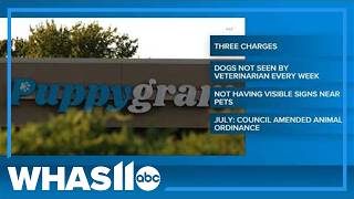 Clarksville pet shop accused of violating animal ordinances after parvo case