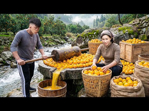 Full Video: 500 Days Harvesting Thousands Oranges & Building an Orange Juice Press to Market