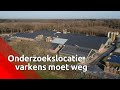 Wies de Haan baalt dat de verkoop van het Varkens Innovatie Centrum al bijna rond is.