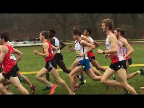 Iris CrossCup Brussels 2016