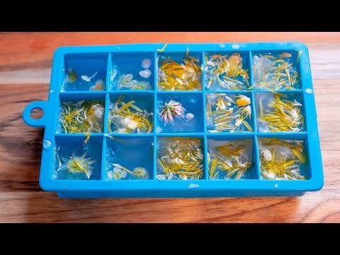 Wild Flower Ice Cubes Recipe | Make Your Drinks/Cocktails Look Beautiful by Foraging Video