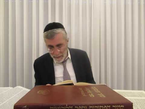 הרב יהושע ביבי - פורים תשפ"ו - שיעור מס' 026 - שי' הפת''ע דף עח' רע''ג בד''ה מ''ש וכו'