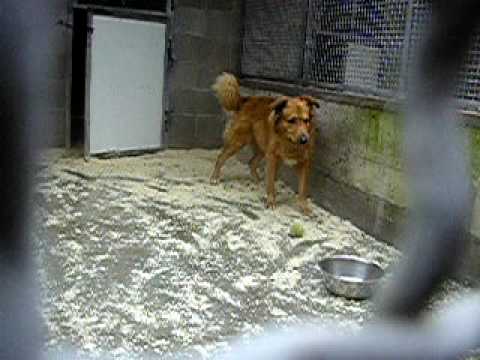 jack purtroppo è morto