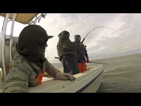Striped bass! Capt Jerm Hooked Up on the Miss Yip. Chunkin Bunks!