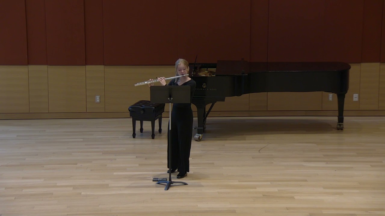 Promotional video thumbnail 2 for Aimee Toner - Flutist