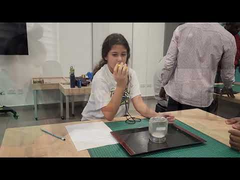 PYP Year 6 The Burning Facts