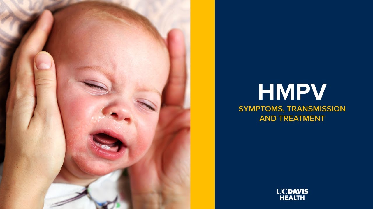 Thumbnail preview of HMPV Explained: Human Metapneumovirus Symptoms, Transmission and Treatment Options