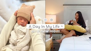 A REAL DAY IN THE LIFE WITH A NEWBORN (First Time Mom)