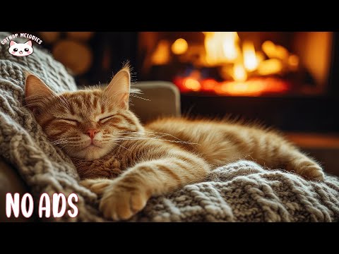 Soothing Music for Anxious Cats 🐾 Calming Sound & Cozy Atmosphere for Relaxation and Deep Sleep