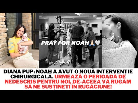 Diana Pup: Noah had another surgery. A difficult period is coming.