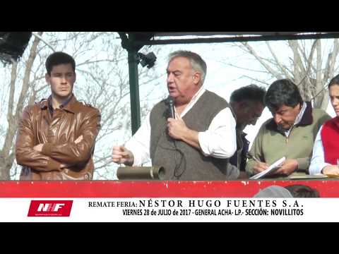 DE FRENTE AL CAMPO juno al SECTOR PRODUCTIVO PAMPEANO - REMATE NOVILLITOS -V/28/JL/17-