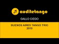 GALLO CIEGO - BUENOS AIRES TANGO TRIO - 2010 - TANGO STRUMENTALE