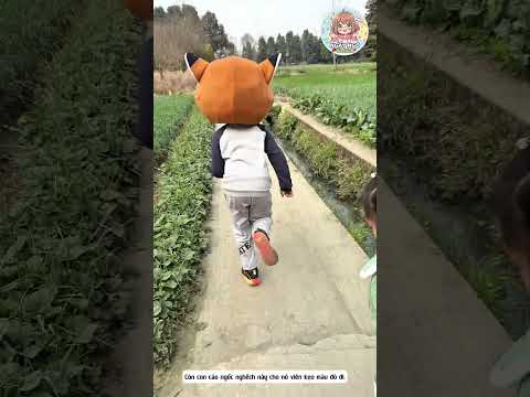 Mình trao nhầm kẹo mất rồi.