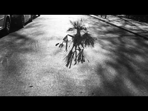 - Not Afraid - Douglas Greed feat. Joy Wellboy