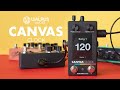 Walrus Audio Canvas Clock thumbnail 8