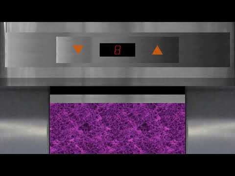 OTIS SPEC 50 (Slap-on mod. Schindler) lift @ 35 Lampton Quay, Central BayTown