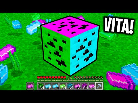 NON ROMPERE QUESTO BLOCCO SCONOSCIUTO della VITA - Minecraft ITA