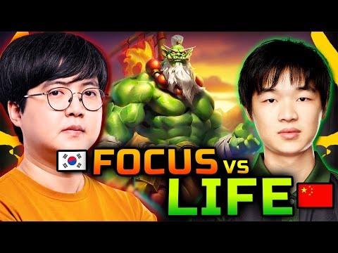 FoCuS vs Life 🔥 Orc vs NE Rivalry 🏆 DWCC S2 Group C Semis & Finals