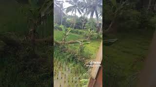 Download lagu Mahal #megyz #youtubeshorts #nostalgiabaladadangdut #kreatormandiri_official #pejuangrupiah mp3