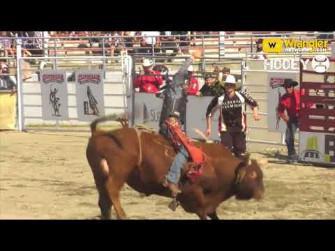 Toby Collins 87.5 on Ivy League