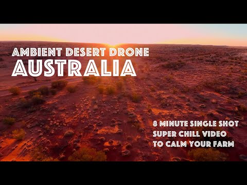 SNOOZEFEST 2021 Super Chill Ambient Music Sleepy Relaxation Single Drone Shot