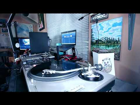 THE VINYLIST [LIVE SET #1] DRUM AND BASS (Listen in HQ\download link)