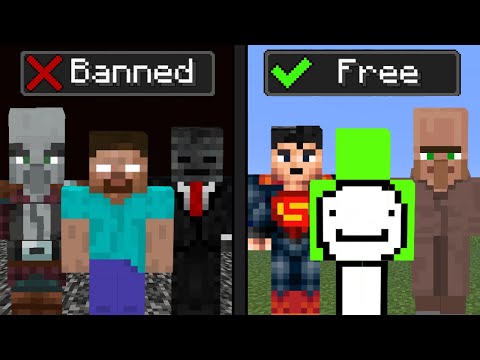 SeaWattgaming - The Story of Minecraft's First BANS