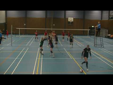 taurus d1 - zovoc  20-01-2024  video 1