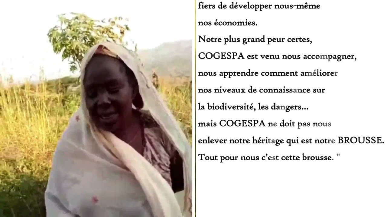 Les femmes au coeur des activités du projet COGESPA Tchabal Mbabo