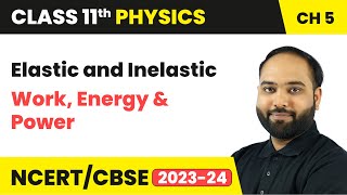 Elastic and Inelastic Collisions - Work, Energy and Power | Class 11th Physics Chapter 5 | CBSE