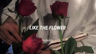 Cómo la flor - Selena Quintanilla; [English subtitles]; live from the Astrodome