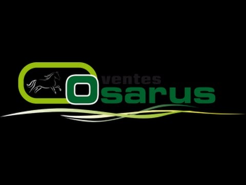 Osarus - Vente de Novembre 2016 - Le Lion d'Angers