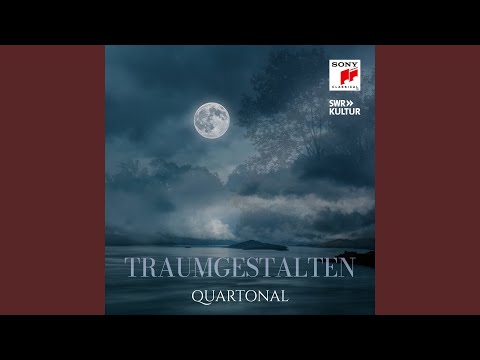 Nebeltag, Op. 8, No. 1