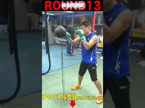 現役時代のパンチングボール！何がすごいかわかりますか？ #Shorts