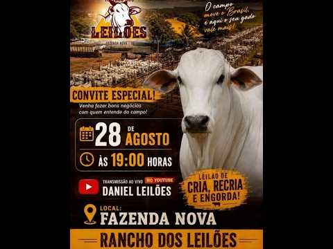 Fazenda Nova - GO   28/08/2026