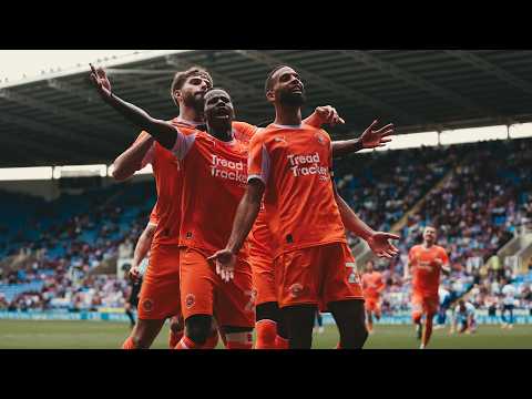 bg-highlight