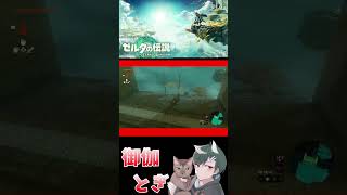 ゼル伝初心者が英雄になったあとの物語  214 #ゲーム実況 #shorts #short #ゲーム #ゼルダの伝説