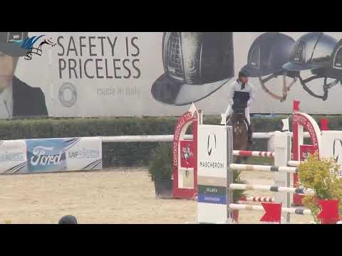 HALO 6 y old mare by zirocco blue @arezzo