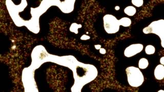 Quicksilver Messenger Service - Forty Days